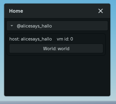 An image of the same home widget but with a world button, indicated it registered succesfully